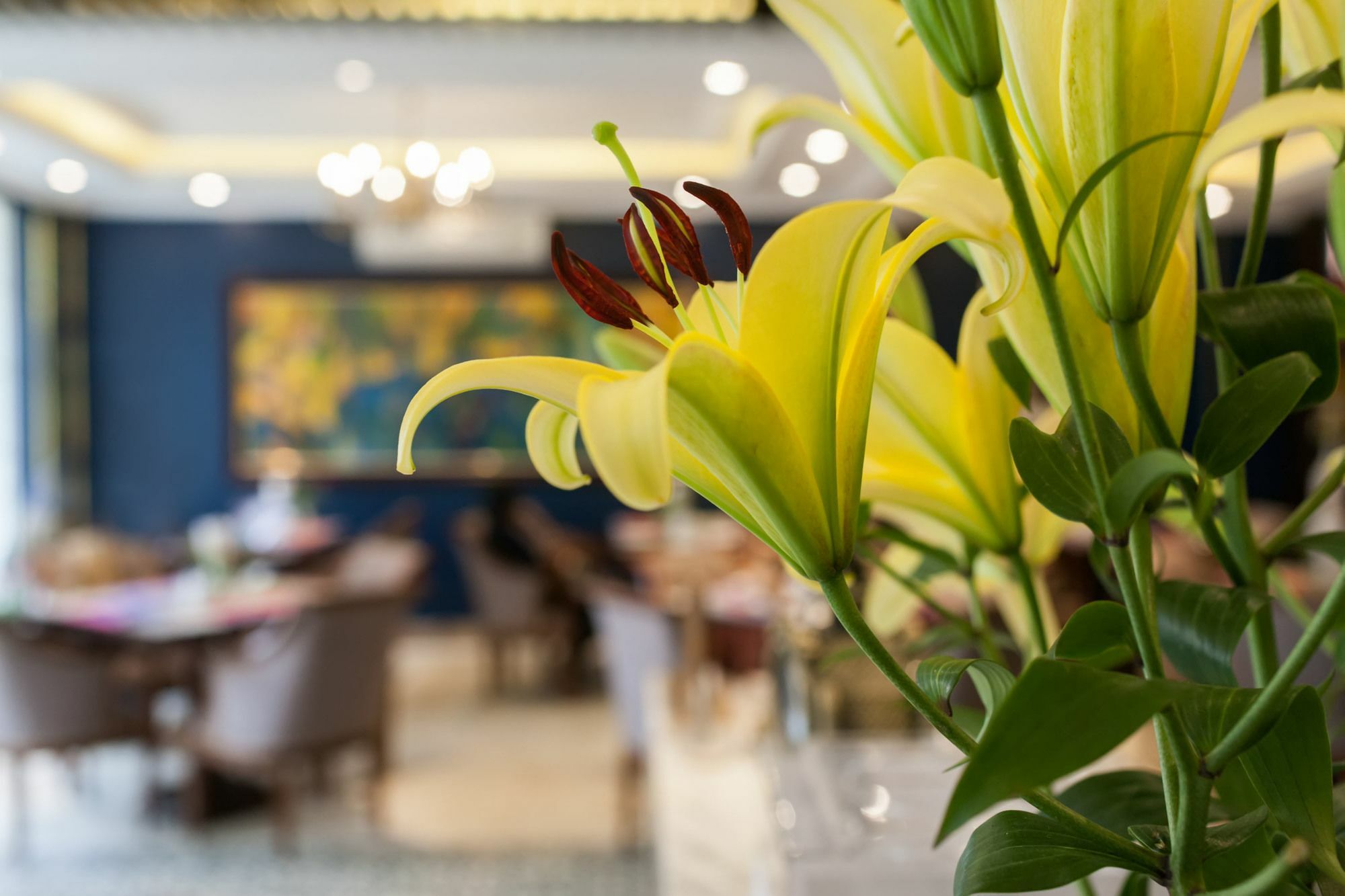 Eden Boutique Hotel & Spa Шапа Екстер'єр фото